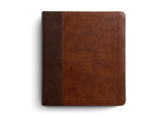 ESV Journaling Bible® - Brown