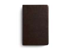 ESV Thinline Bible Expresso