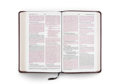 ESV Thinline Bible Expresso