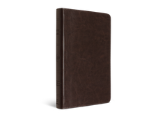 ESV Thinline Bible Expresso