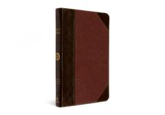 ESV Thinline Bible - Portfolio Brown