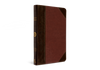 ESV Thinline Bible - Portfolio Brown