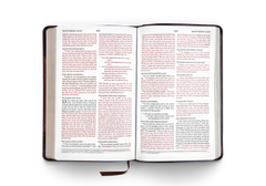 ESV Thinline Bible - Portfolio Brown