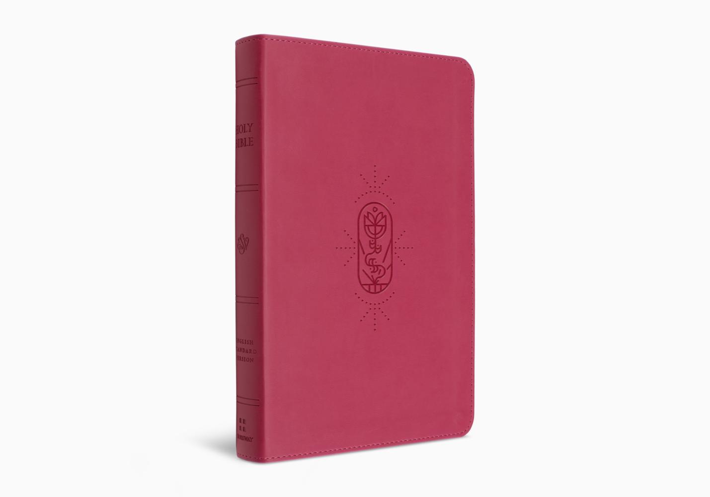 ESV Kids Bible Pink
