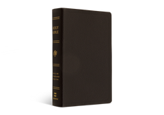 ESV Pocket Bible - Deep Brown
