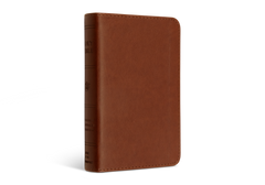 ESV Pocket Bible - Chestnut