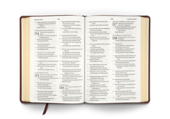 ESV Large Print Bible - Brown