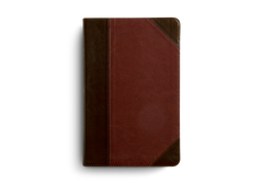 ESV Thinline Bible - Portfolio Brown
