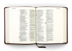ESV Journaling Bible® - Brown