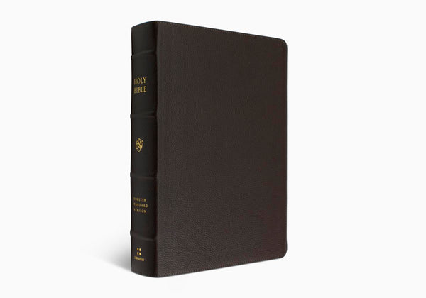 ESV Large Print Single Column Journaling Bible® - Brown Leather
