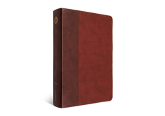 ESV Large Print Single Column Journaling Bible® - Burgundy