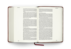 ESV Large Print Single Column Journaling Bible® - Burgundy