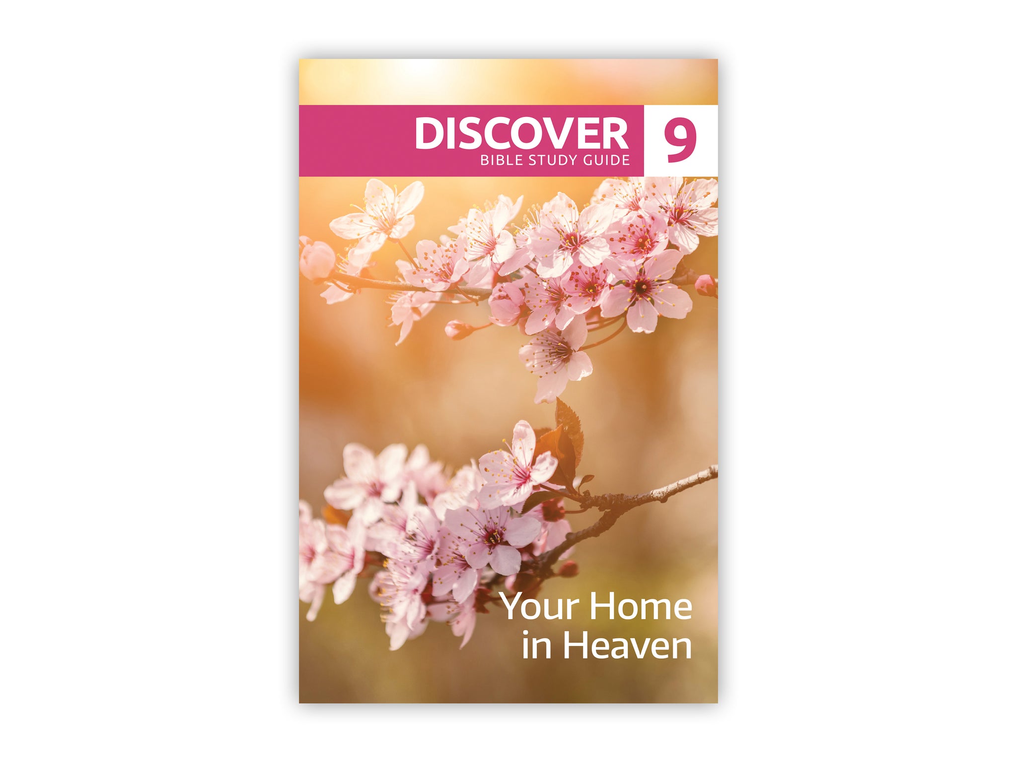 Discover Bible Study Guide #9 - Your Home in Heaven